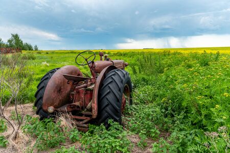 Farm land and canola crops, Saskatchewan, Canada.の写真素材