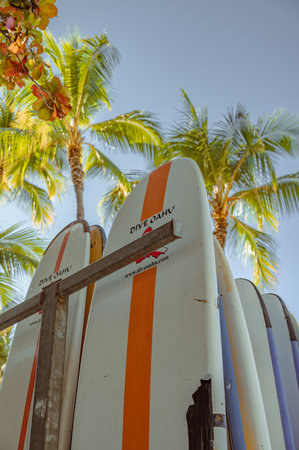 Honolulu, Hawaii - December 26, 2022: Surfboards on Waikiki Beach standing in a rack at a beach rental shop.のeditorial素材