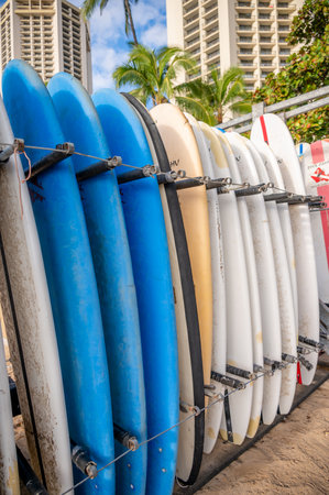 Honolulu, Hawaii - December 29, 2022: Dive Oahu surfboards on Waikiki Beach standing in a rack at a beach rental shop.のeditorial素材