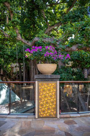 Honolulu, Hawaii - January 2, 2023: inside Waikiki's landmark International Market Place shopping area.のeditorial素材