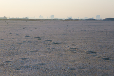 track of lifeの写真素材