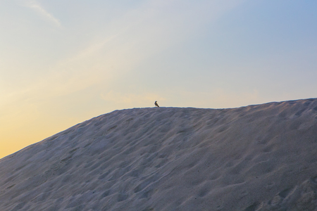 dune malaysia sandの写真素材