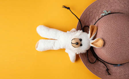 View from above. beach hat on a yellow background. for travel place for textの写真素材