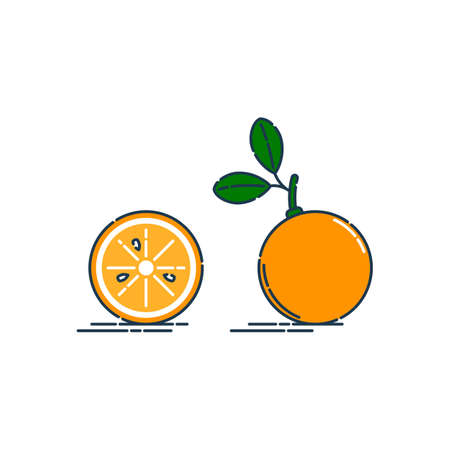 Whole and cut in half orange or tangerine fruit isolated on white background. Organic product. Bright summer harvest illustration. Flat style illustration for any design. Fresh cut citrus icon.のイラスト素材
