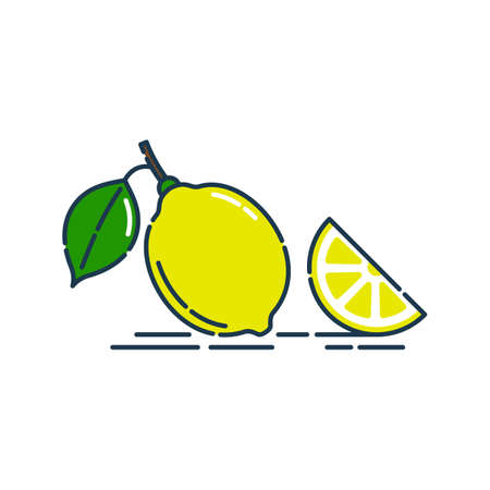 Whole and slice in half lemon fruit isolated on white background. Organic product. Bright summer harvest illustration. Flat style illustration for any design. Fresh cut citrus icon.のイラスト素材