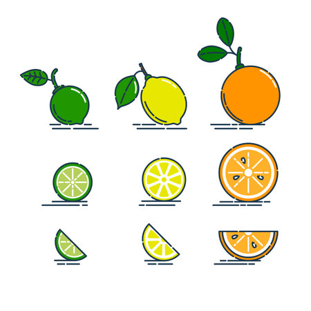 Whole product slice and cut in half orange lemon and lime fruit isolated on white background. Bright summer harvest illustration. Flat style illustration for any design. Line art citrus icon. Fruits with leaves.のイラスト素材