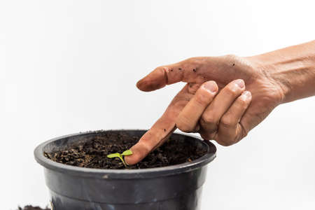 hand holding planet with rooted plant, for in garden, earth day conceptの写真素材