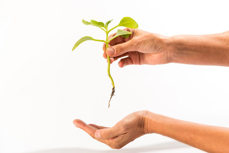 hand holding planet with rooted plant, for in garden, earth day concept