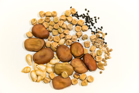 various seeds to plant at home, blossom, earth day, mother earth who protects us