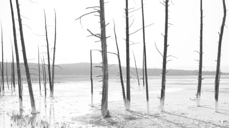 Hot Springs, Yellowstone