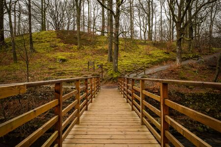 Wooden Bridge near Grasmere, English Lake Districtの写真素材