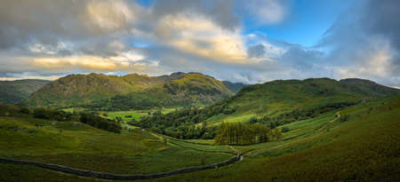 Heather by a Stone Wall, Langdale, Lake District, Englandの写真素材