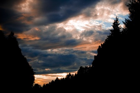 Evening sunset with silhouette of a forest and tree tops. Nice lights and glowの写真素材