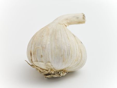 Garlic bulb on whiteの写真素材