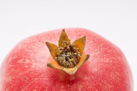 A macro detail picture of the top of a perfect pomegranite with room for copyの写真素材