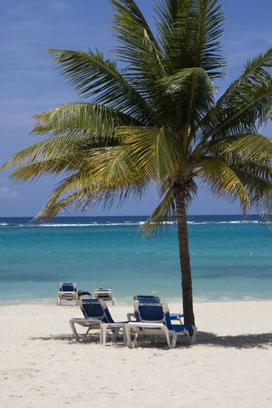  Negril Coast, west Jamaica, Caribbeanの写真素材