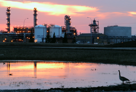 Oil refinery at dawn with Canadian goose and pond in the foregroundのeditorial素材