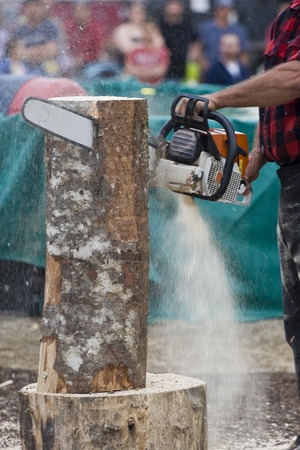 Chainsaw Sculptor carving log sculpture with spectators in backgroundの写真素材