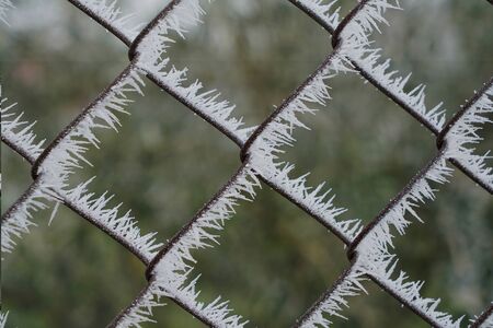 detail of the ice on a frozen fence in the fieldの写真素材
