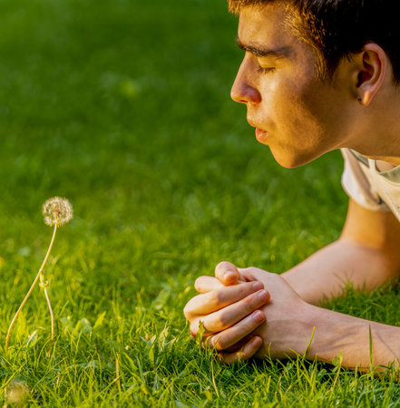 Young boy blows dandelion flower on the lawn of an outdoor gardenの写真素材