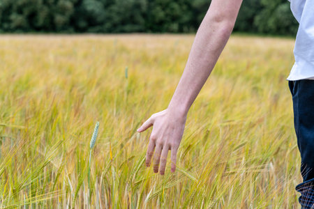 boy in sportswear in a wheat field strolls thoughtfully into the sunset