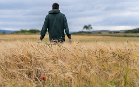 boy in sportswear in a wheat field strolls thoughtfully into the sunsetの写真素材