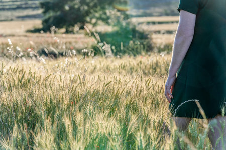 woman in a dark green dress in a wheat field in the summer at sunset
