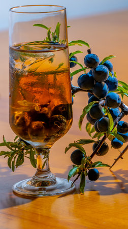Still life of Pacharan of sloes homemade, with fresh sloe branch and liquor glass with homemade ice, bottom of pine woodの写真素材