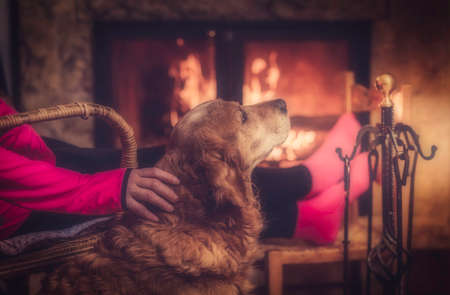 winter night, happy woman resting by the fire caressing her golden pet, feet in wool socks. Cozy scene.の写真素材