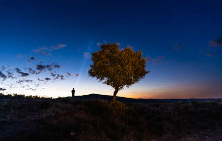 young boy illuminating the sky with a super-powerful flashlight, night photography with a view of stars and the glow of orange sunset on the mountain and illuminated tree in the eveningの写真素材