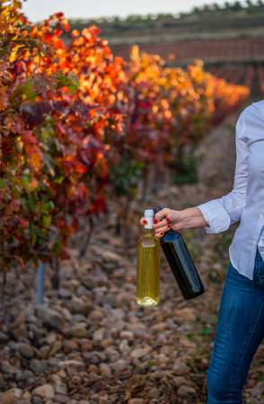 woman holding bottles of red and white wine in her hand in a vineyard in autumn at sunset, wearing...