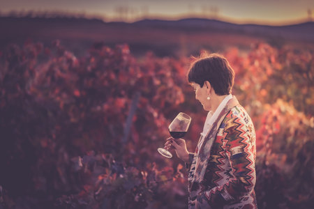 A woman with a glass of red wine stands near a vineyard in the autumn at sunset. Wine tourの写真素材