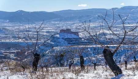 castle and landscape with almond trees in winter after a heavy snowfallの写真素材