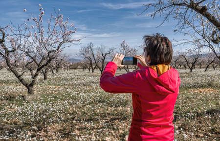 Woman in the countryside photographing with her cell phone the fields and almond trees in bloomの写真素材