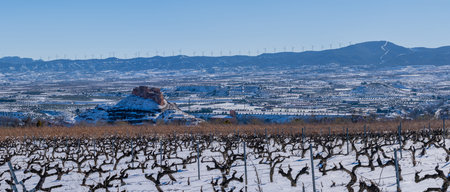 Panoramic view of vineyards in La Rioja after a heavy snowfallの写真素材