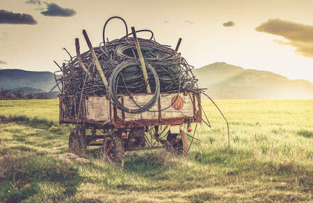 Green fields and agricultural cartの写真素材