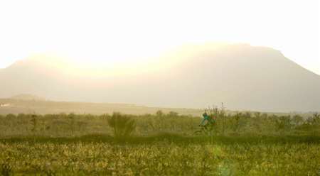 Cyclist at sunset in the vineyard and mountain area with his bike.の写真素材