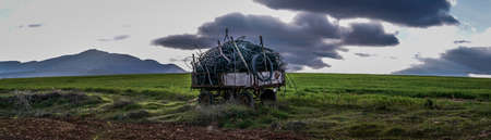 Green fields and agricultural cartの写真素材
