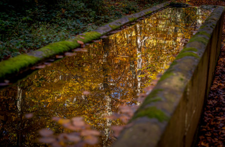 reflection in the water of the colors and trees in autumnの写真素材