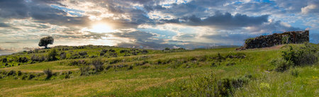 panoramic view of meadow with tree and houseの写真素材