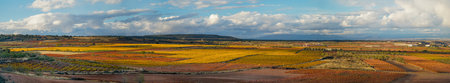 panoramic, view, sunset of vineyards in autumn, Spain La Rioja.の写真素材