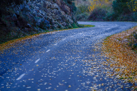 Mountain road with leaves in autumnの写真素材