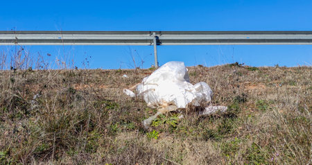 Plastics and other products dumped as litter and debris in roadside ditchesの写真素材
