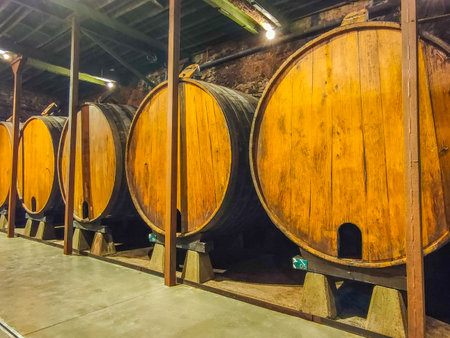 Barrels for the manufacturing, production and aging of cider. Asturias, Spain.