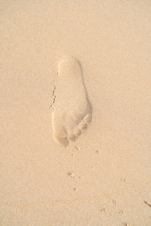 Leaving the footprint of the roadの写真素材