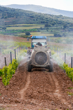 tractor spraying vineyardsの写真素材