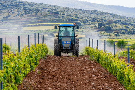 tractor spraying vineyardsの写真素材