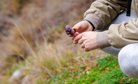Young hiker examining and smelling a wild purple mushroom in the forest, mycological exploration in autumn nature.の写真素材