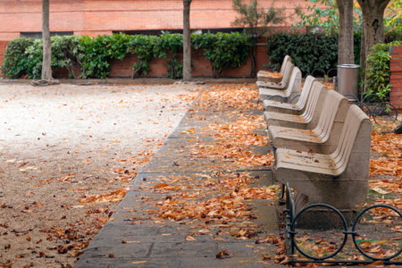 benches in a row in an indoor garden in fall with yellow orange and brown fallen leaves