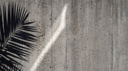 Gray concrete wall texture with tropical palm leaf shadow overlayの素材